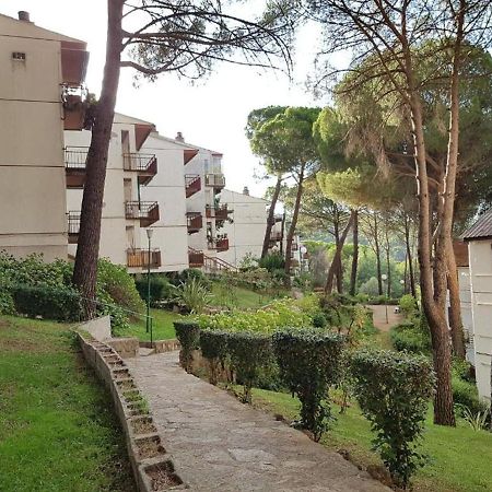 Casa Pini Apartamento San Martín de Valdeiglesias Exterior foto